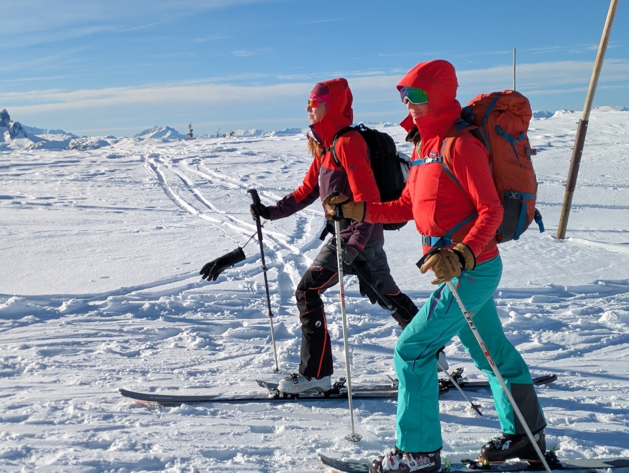 PXL_20250112_200455786.PORTRAIT.ORIGINAL