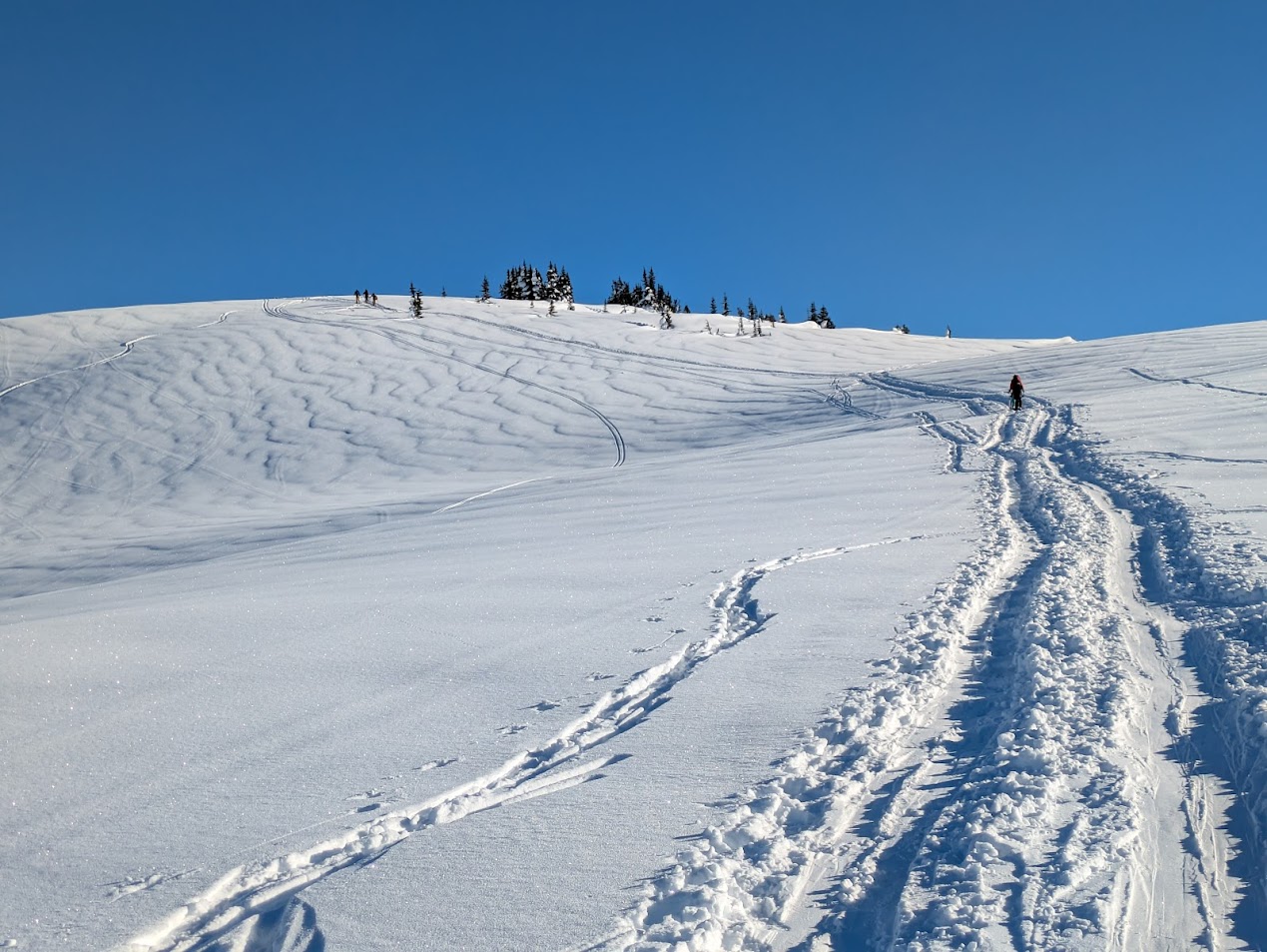 PXL_20250112_212220669.MP