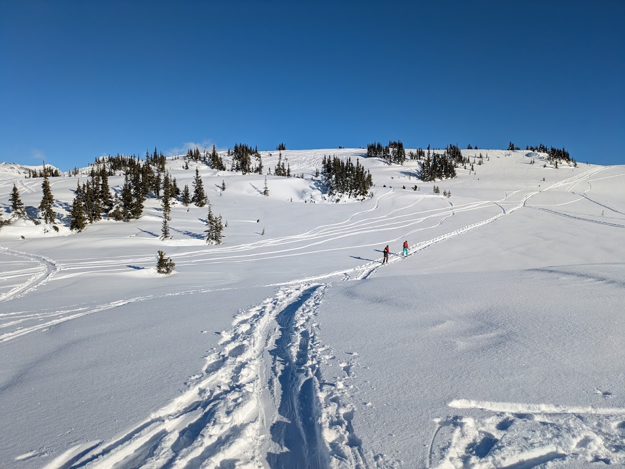 PXL_20250112_212828633.MP