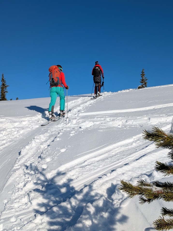 PXL_20250112_213514230.PORTRAIT