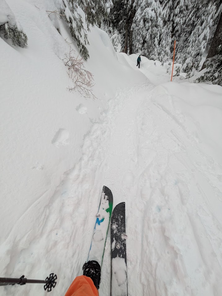 PXL_20250201_232503213.MP