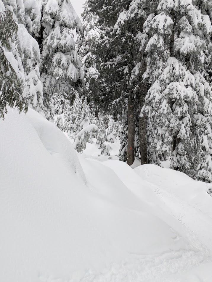 PXL_20250201_232549233.MP