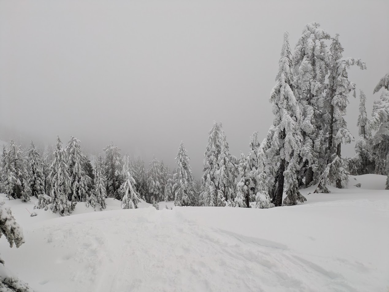 PXL_20250202_001020409.MP