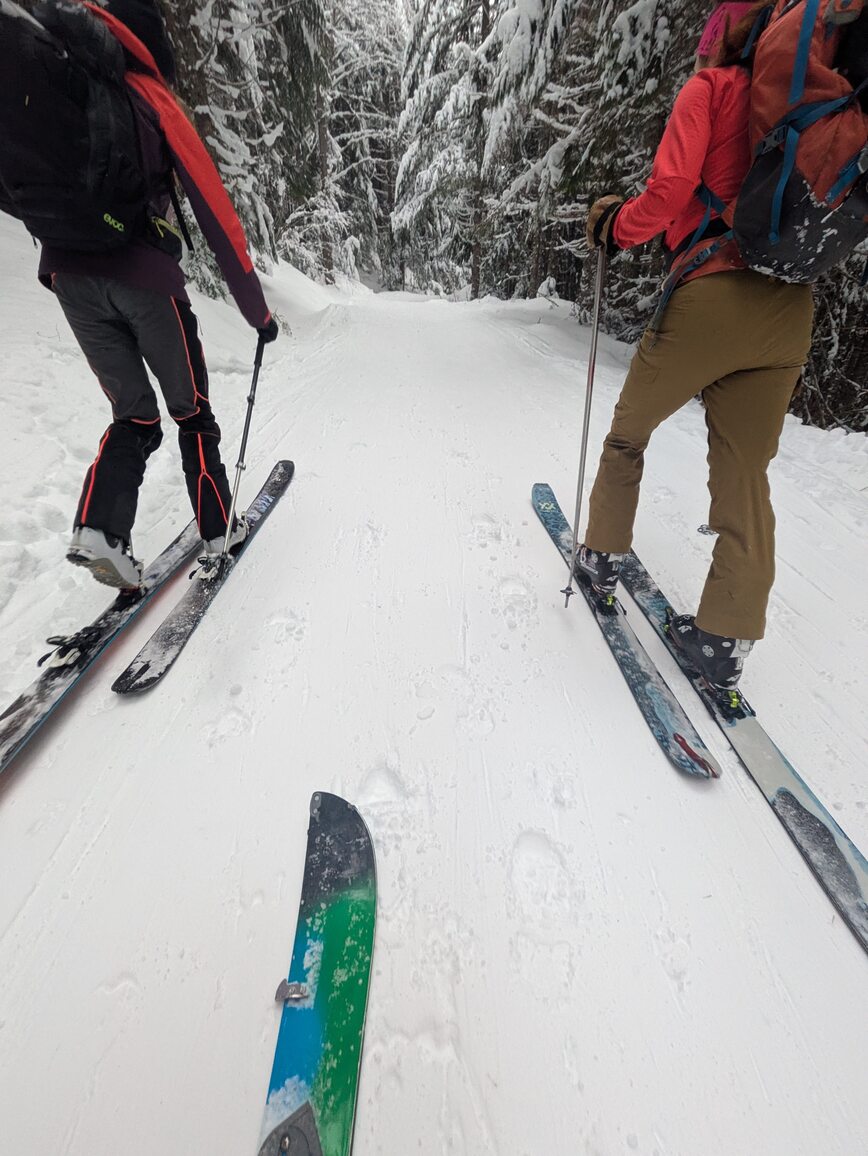 PXL_20250208_191603341.MP