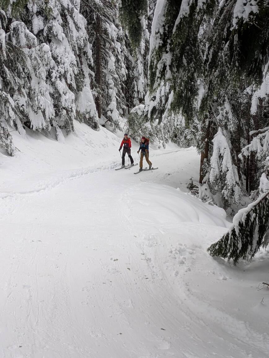 PXL_20250208_193102124.MP