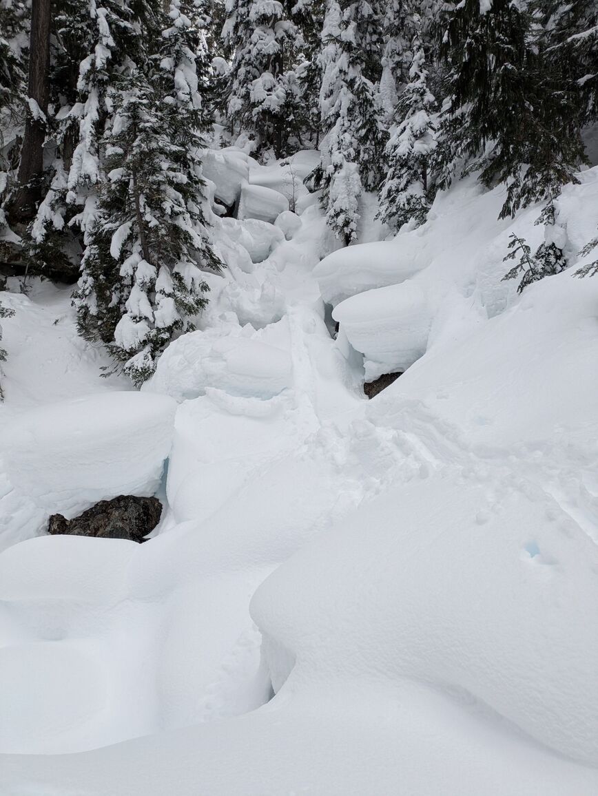 PXL_20250208_200703269.MP