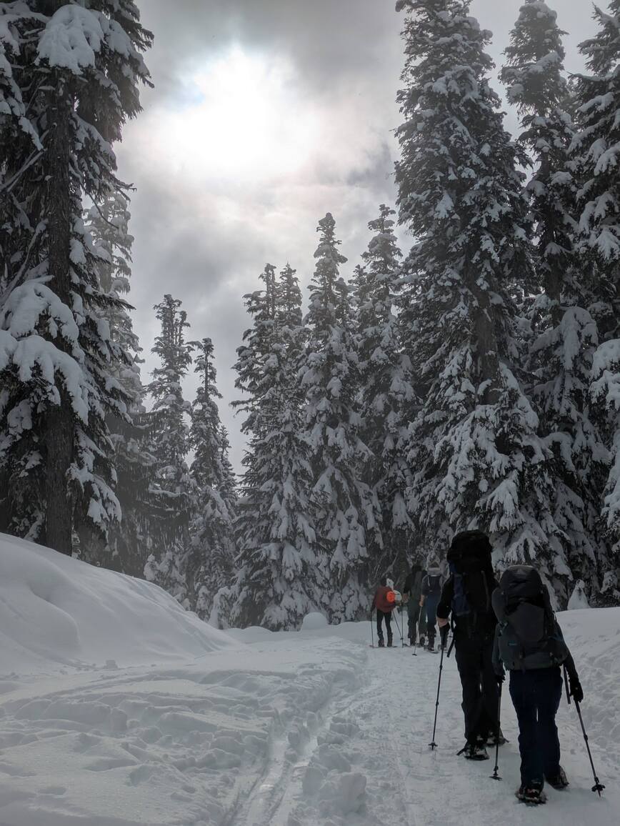 PXL_20250208_203553812.MP