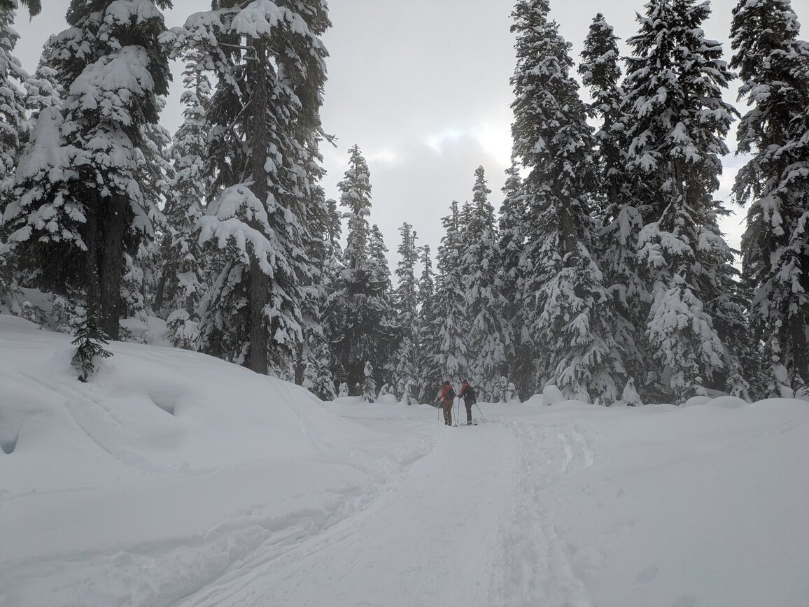 PXL_20250208_203814409.MP