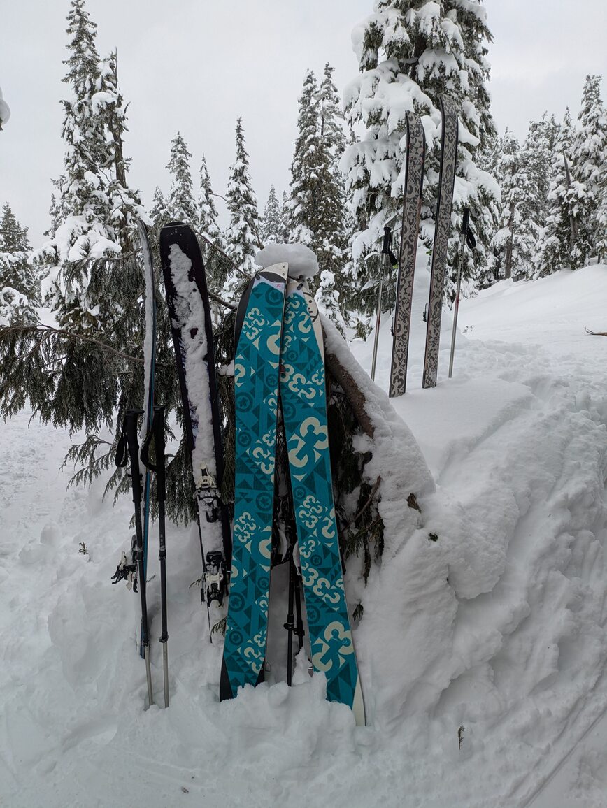 PXL_20250208_205524343.MP