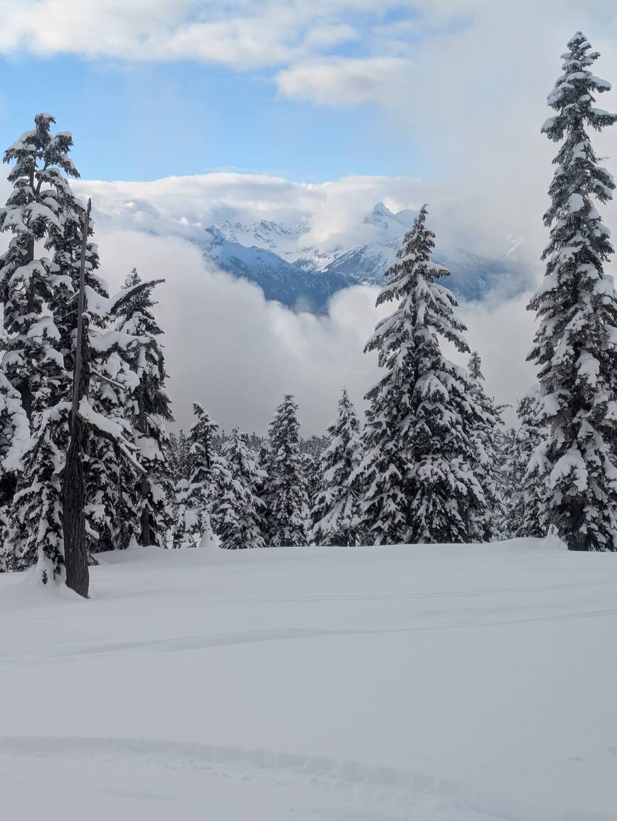 PXL_20250208_223937271.MP