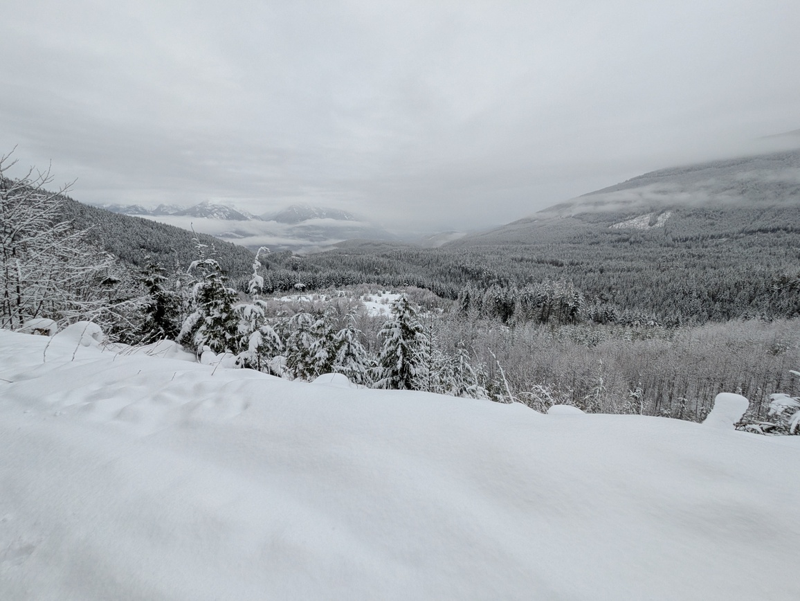 PXL_20250216_175404637.MP