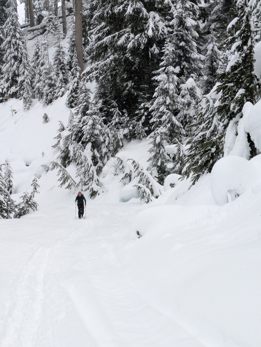 PXL_20250216_194235494.MP