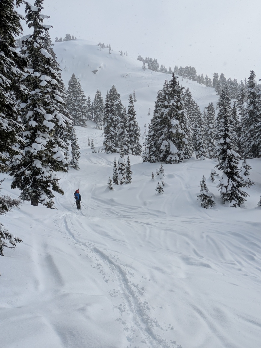 PXL_20250216_213928302.MP