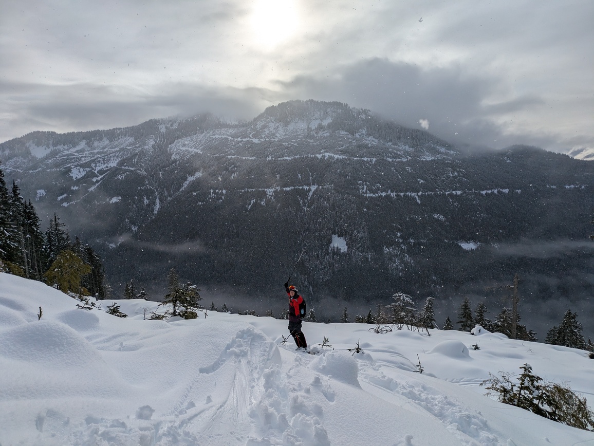 PXL_20250216_233118311