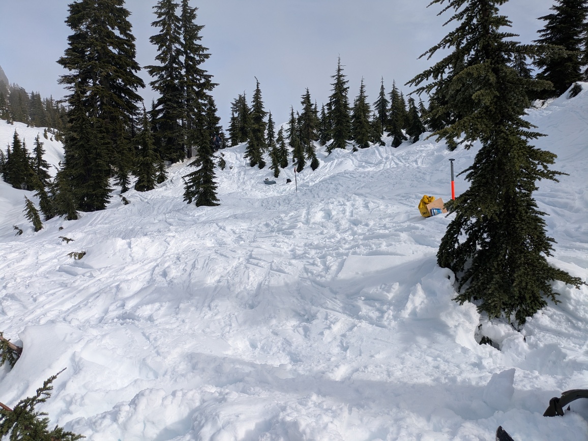 PXL_20250223_201701976.MP