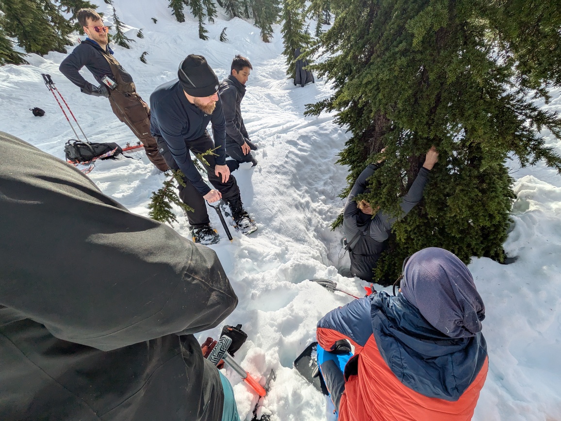 PXL_20250223_205954176.MP